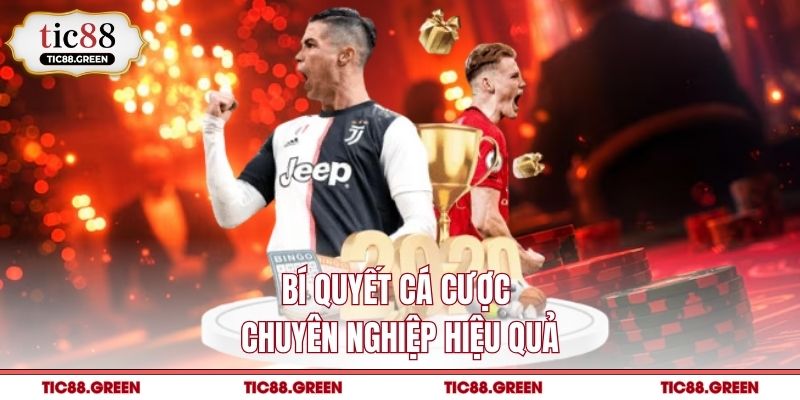 Bí quyết cá cược chuyên nghiệp hiệu quả