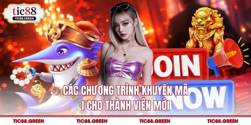Các chương trình khuyến mãi cho thành viên mới