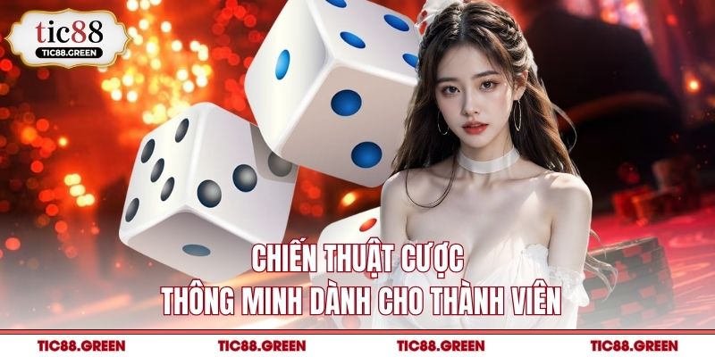 Chiến thuật cược thông minh dành cho thành viên