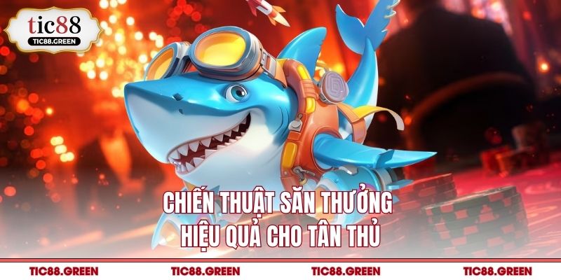 Chiến thuật săn thưởng hiệu quả cho tân thủ