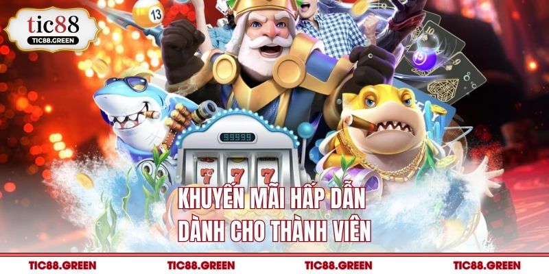 Khuyến mãi hấp dẫn dành cho thành viên