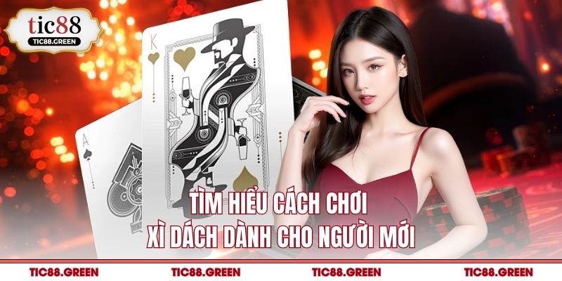 Tìm hiểu cách chơi xì dách dành cho người mới